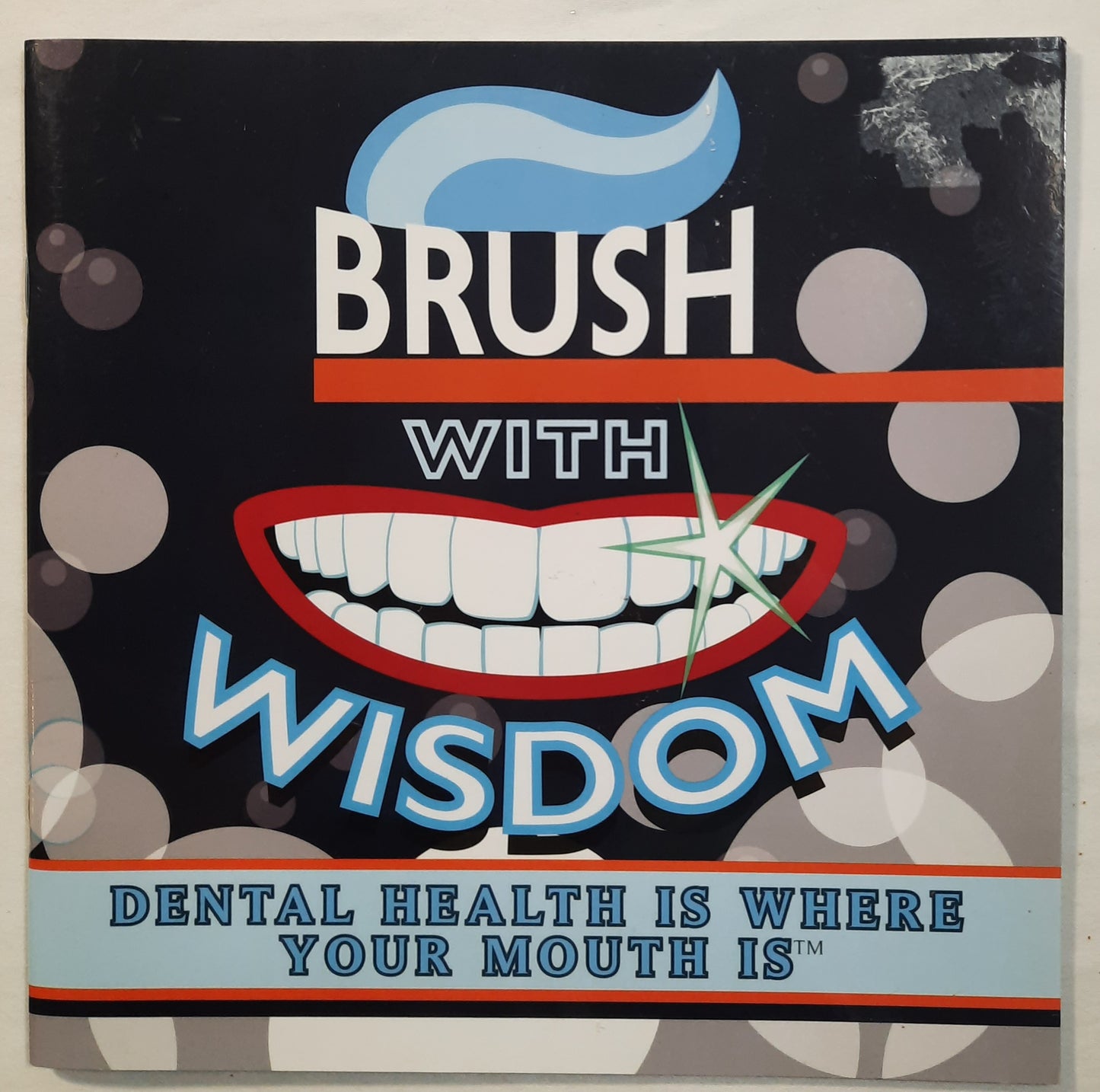 Brush with Wisdom: Dental Health is Where Your Mouth Is by Michelle Bain (Very good, 2015, Pbk, 36 pages, Where's It? Media)