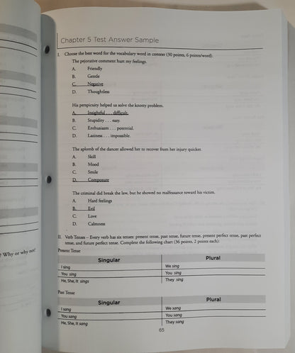 Skills For Language Arts Teacher Guide by James P. Stobaugh (New, 2018, Pbk, 405 pages, Master Books)