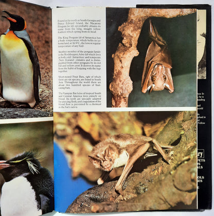 The Color Nature Library: Zoo Animals by Frank W. Lane (Good, 1978, HC, 64 pages, Crescent Books)