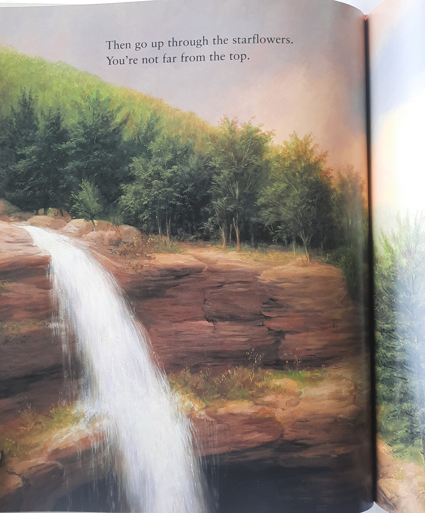 To Climb a Waterfall by Jean Craighead George (Very good, 1995, HC, 32 pages, Philomel Books)