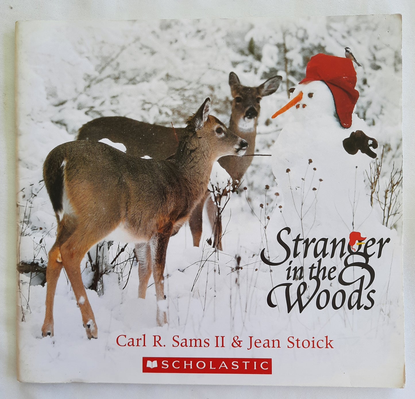 Stranger in the Woods by Carl R. Sams II; Jean Stoick (Very Good, 2014, Pbk, 66 pages, Scholastic)