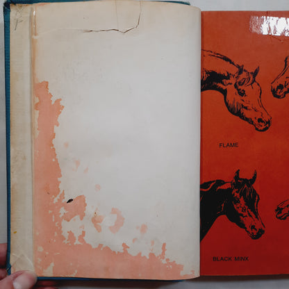 The Horse-Tamer #14 by Walter Farley (Acceptable, 1958, HC, 175 pages, Random House)