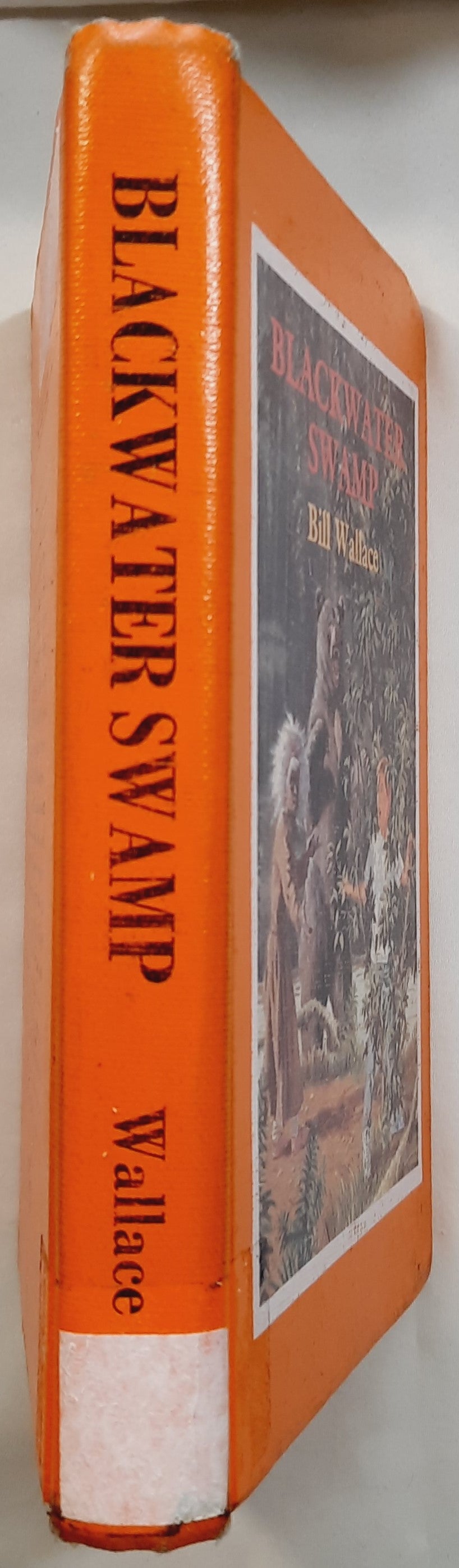 Blackwater Swamp by Bill Wallace (Good, 1994, HC, 185 pages, Holiday House)