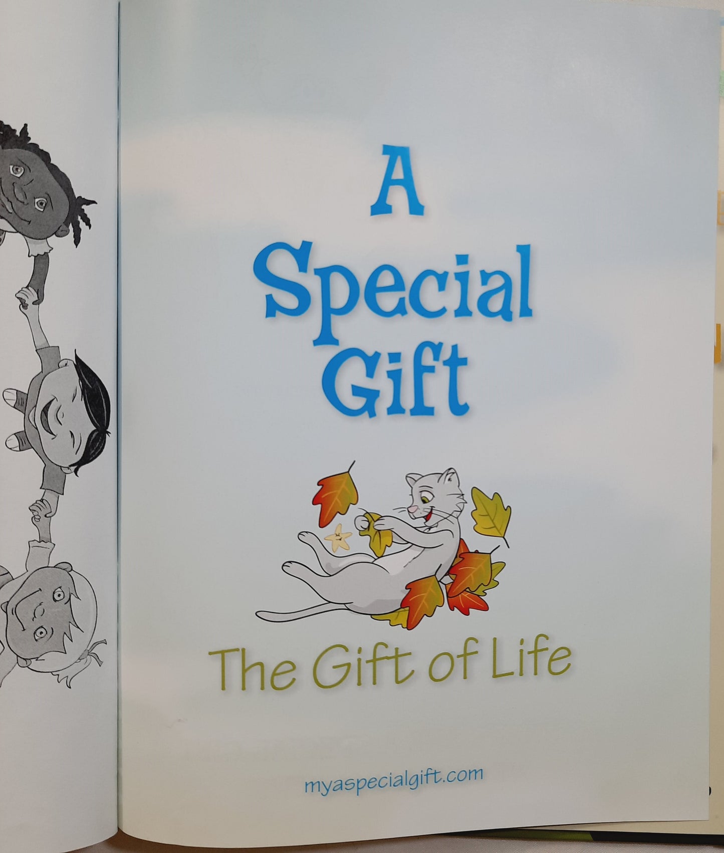 A Special Gift by John Sydney Tighe (Like New, 2015, HC, The Public Relations Institute)