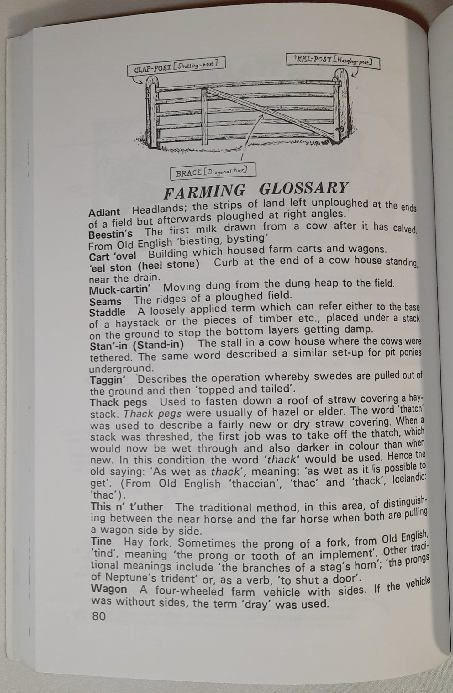 Ey Up Mid Duck! Dialect of Derbyshire and the East Midlands by Richard Scollins; John Titford (Very good, 2000, Pbk, 128 pages, Countryside Books)