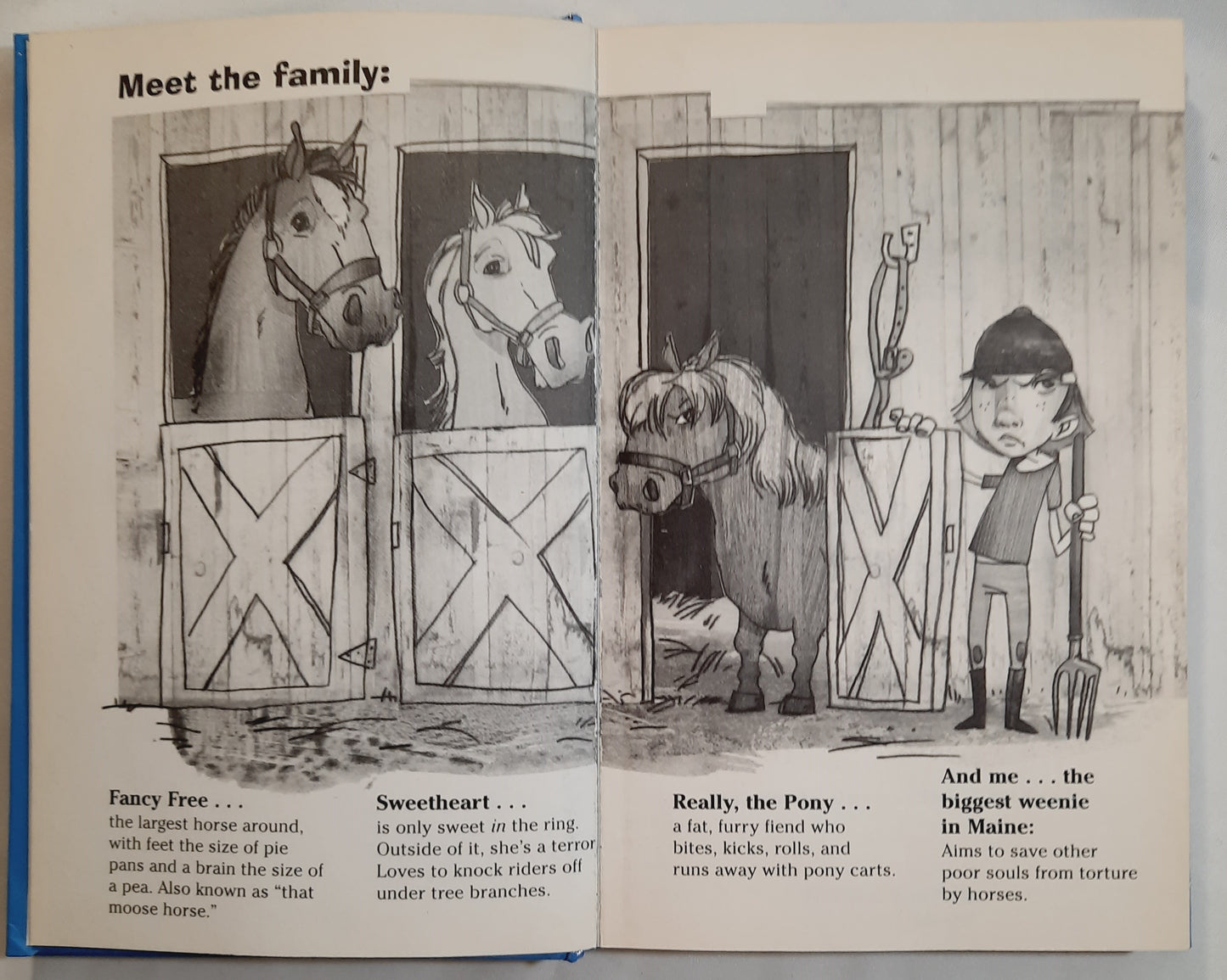 The Truth About Horses, Friends, & My Life as a Coward by Sarah P. Gibson (Very Good, 2008, HC, 148 pages, Marshall Cavendish Children)