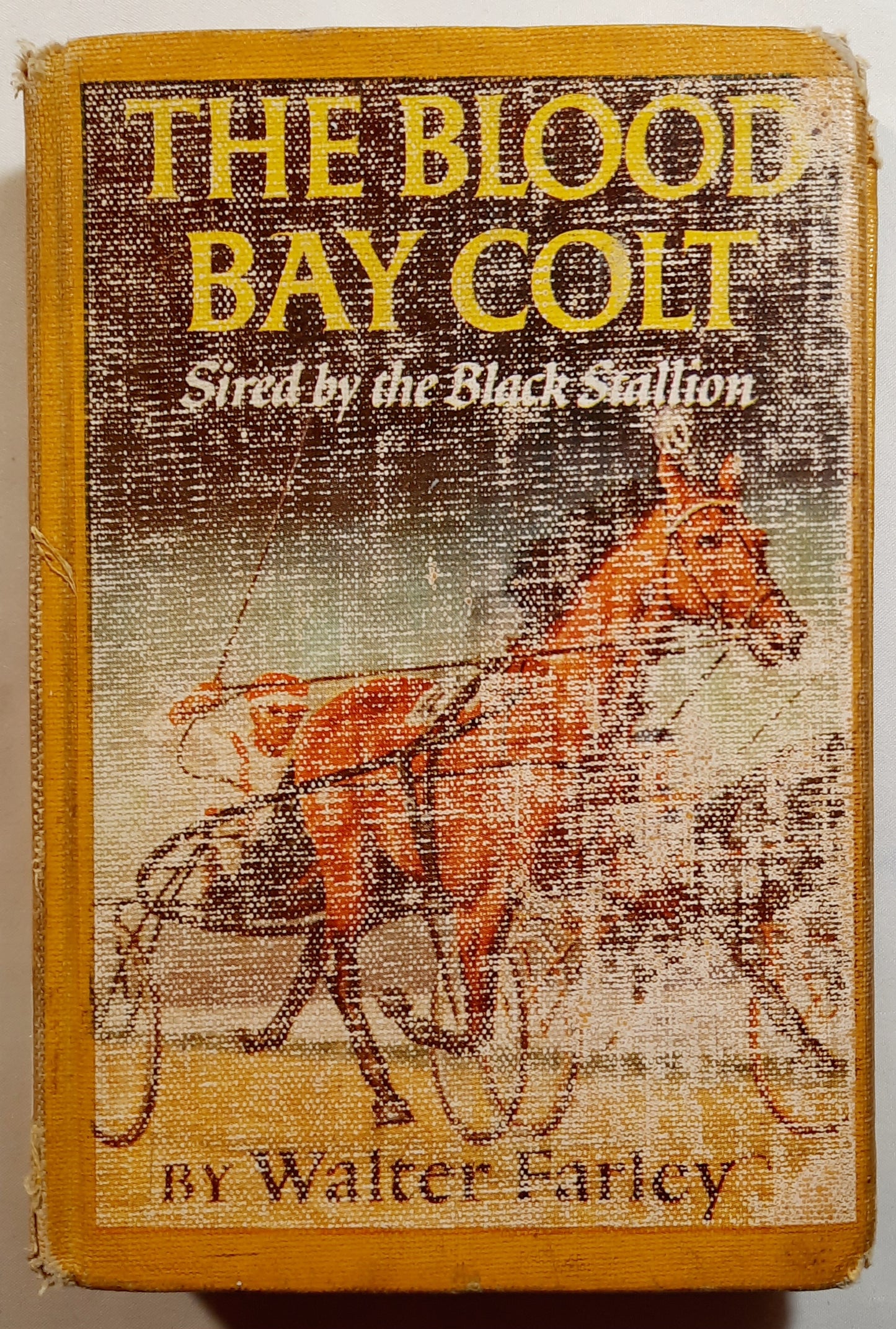 The Blood Bay Colt #6 by Walter Farley (Good, 1950, HC, 307 pages, Random House)