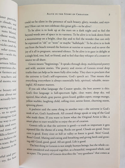 We Make the Road by Walking: A Year Long Quest for Spiritual Formation Reorientation, and Activation by Brian D. McLaren (Good, 2014, Pbk, 281 pages, Jericho Books)