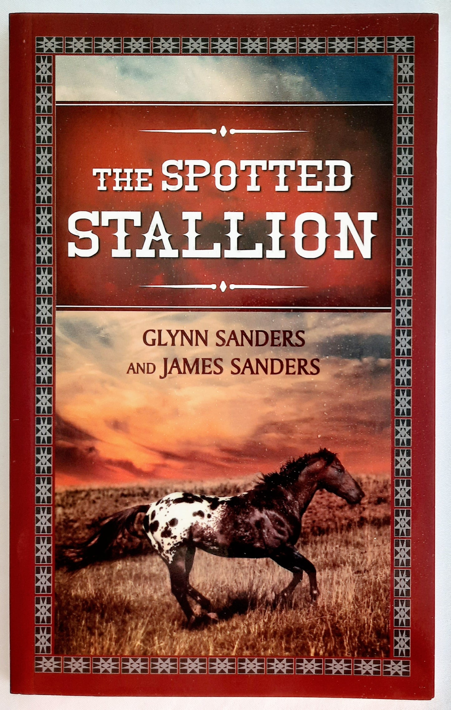 The Spotted Stallion by Glynn Sanders; James Sanders (Very good, 2015, Pbk, 56 pages, Big Rock Publishing) RARE FIND