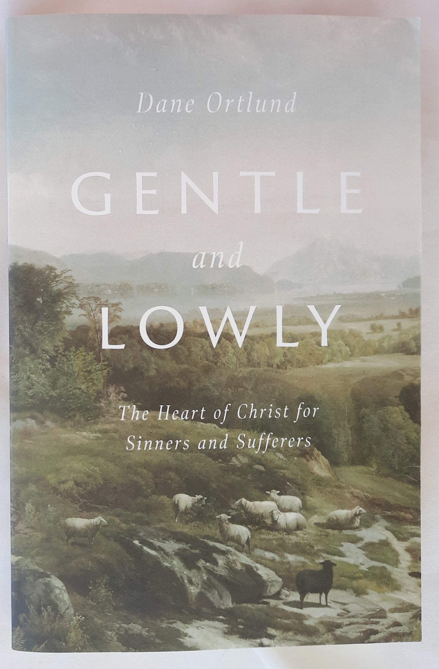 Gentle and Lowly: The Heart of Christ for Sinners and Sufferers by Dane Ortlund (Very good, 2020, Pbk, 224 pages, Crossway)