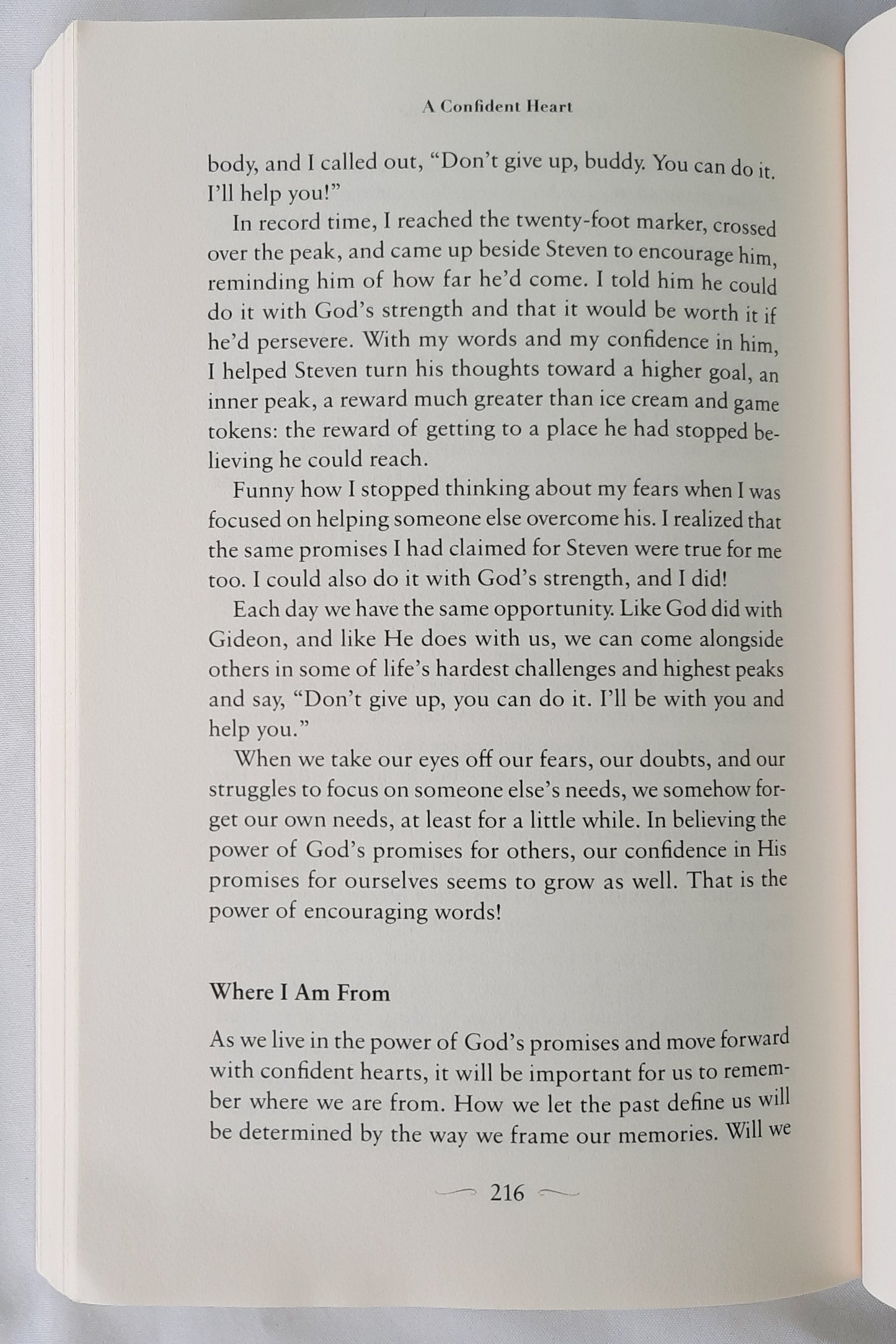 A Confident Heart: How to Stop Doubting Yourself and Live in the Security of God's Promises by Renee Swope (Very good, 2011, Pbk, 229 pages, Revell)