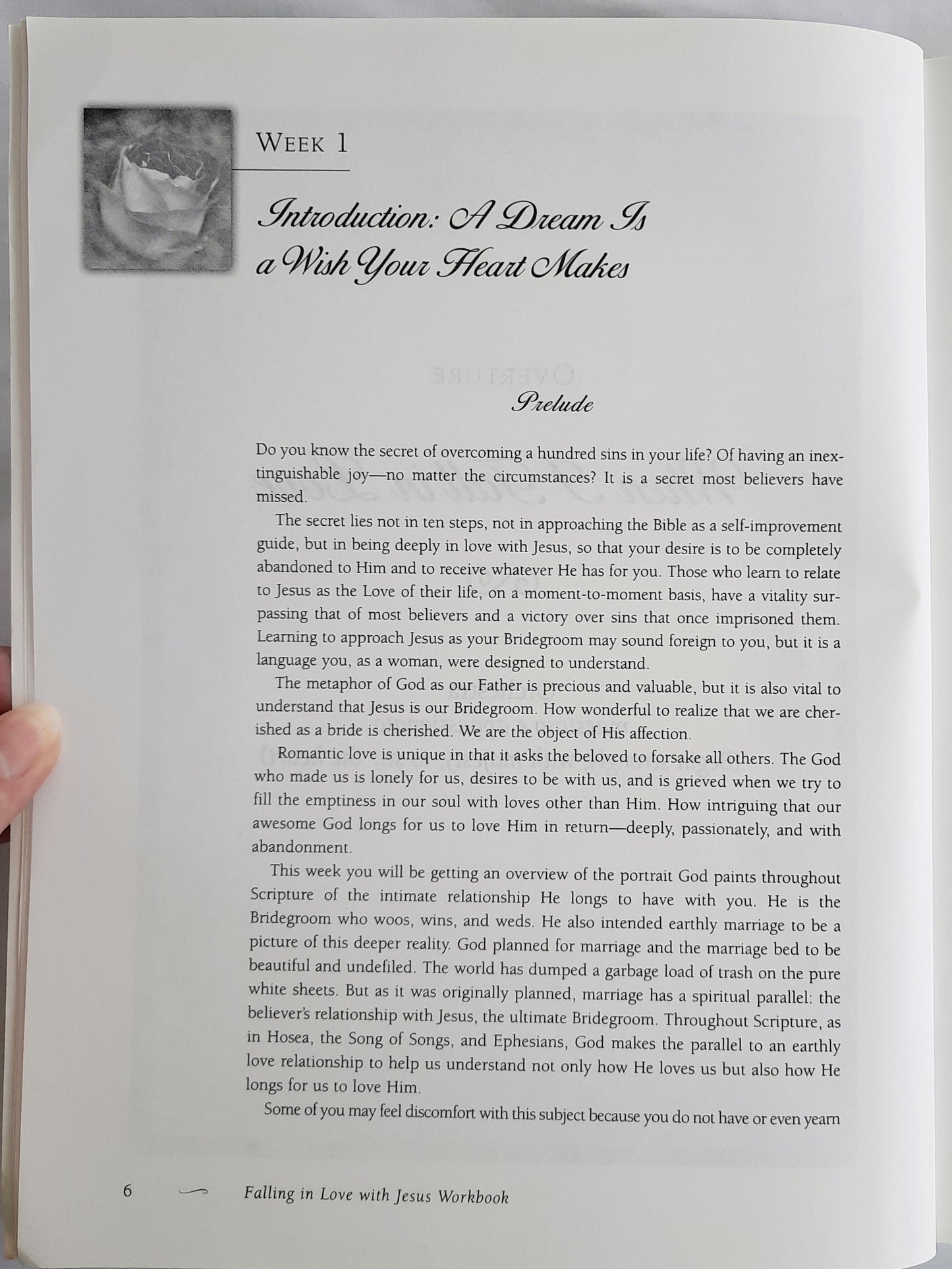 Falling in Love with Jesus Workbook by Dee Brestin & Kathy Troccoli (Very good, 2001, Pbk, 207 pages, W Publishing Co.)