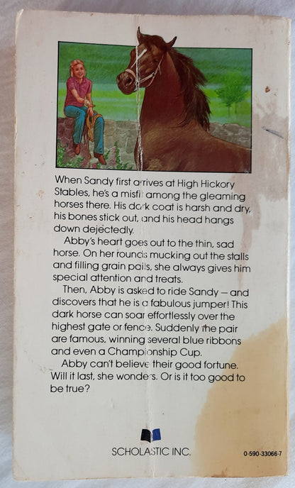 Dark Horse by Jean Slaughter Doty (Acceptable, 1983, Pbk, 158 pages, Scholastic)