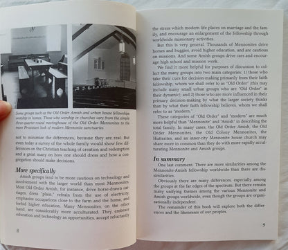 20 Most Asked Questions About the Amish and Mennonites by Merle and Phyllis Good (Very good, 1995, Pbk, Good Books, 96 pages)