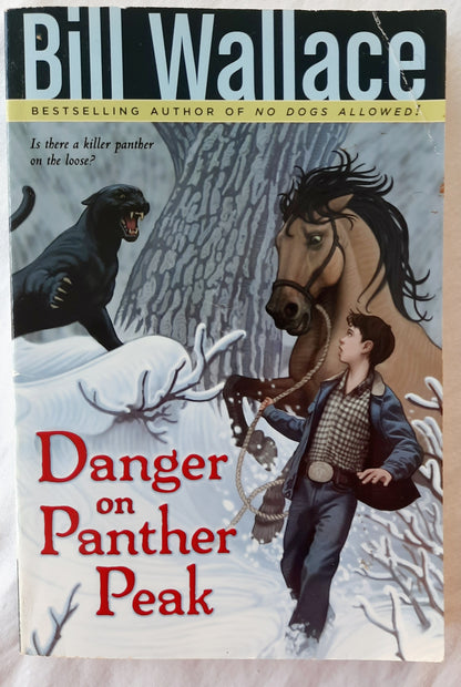 Danger on Panther Peak by Bill Wallace (Very good, 2008, Pbk, Aladdin Paperbacks, 168 pages)