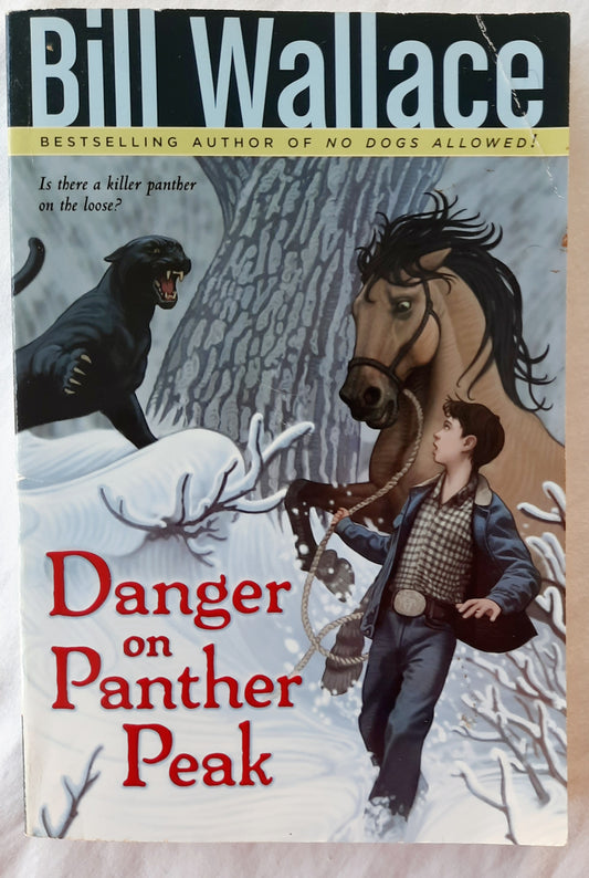 Danger on Panther Peak by Bill Wallace (Very good, 2008, Pbk, Aladdin Paperbacks, 168 pages)