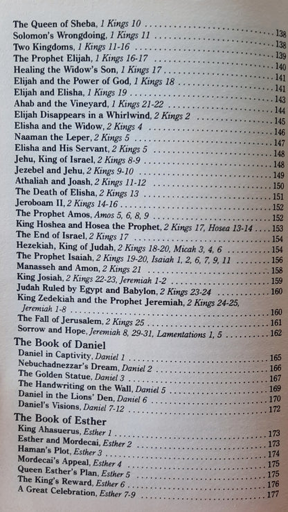 Children's Bible adapted by E.B.R. Hirsch (Good, 1998, Pbk, 320 pages, Paradise Press)