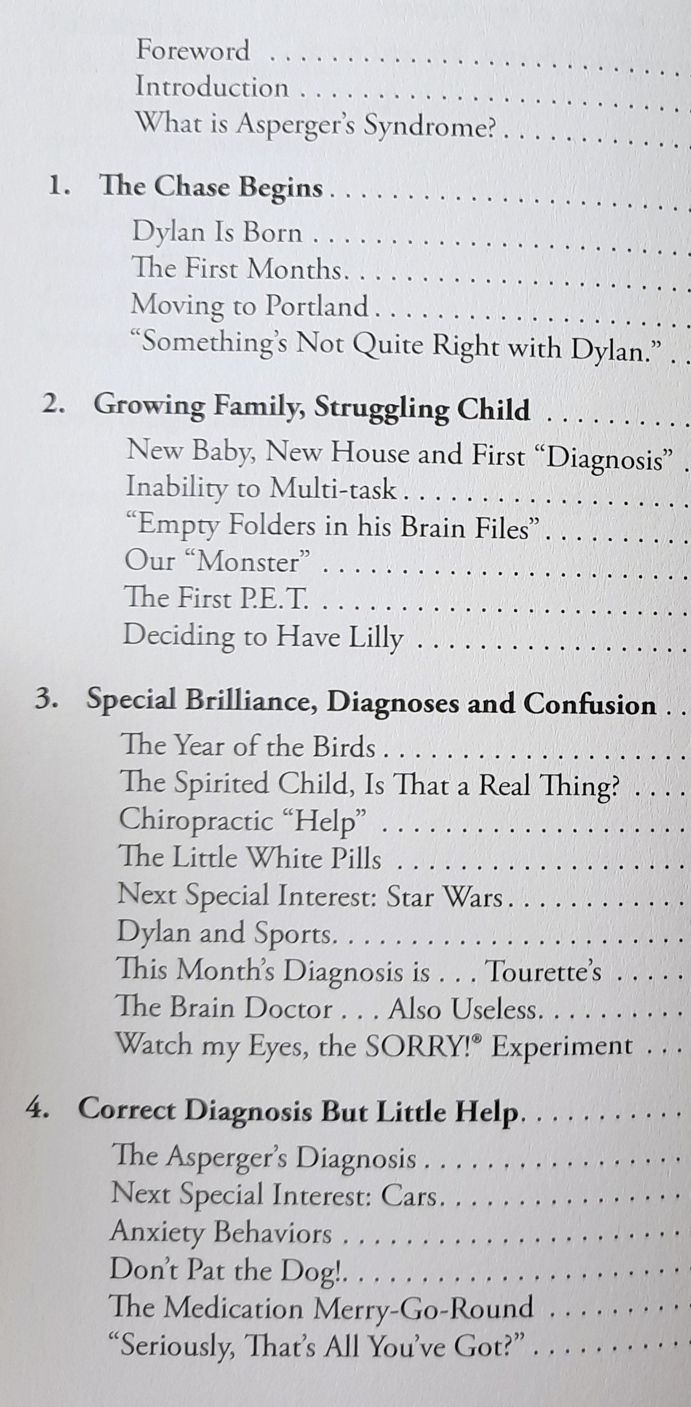 Chasing the Rabbit: A Dad's Life Raising a Son on the Spectrum by Derek Volk (Very good, 2015, Pbk, 282 pages, D&A Publishing)