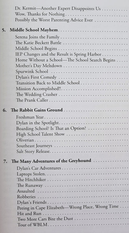 Chasing the Rabbit: A Dad's Life Raising a Son on the Spectrum by Derek Volk (Very good, 2015, Pbk, 282 pages, D&A Publishing)