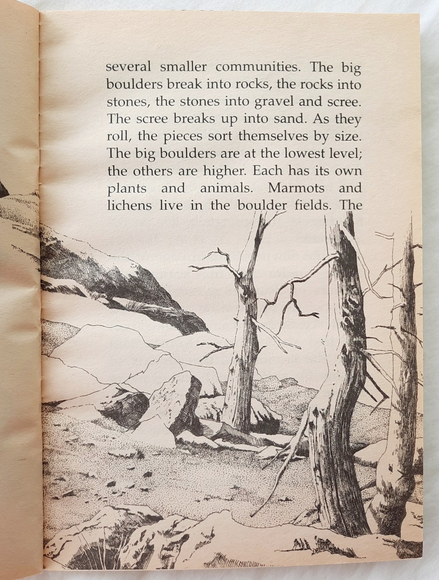 One Day in the Alpine Tundra by Jean Craighead George (Good, 1999, Pbk, Scholastic, 57 pages)