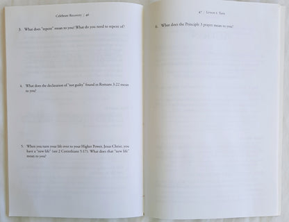 Stepping Out of Denial into God's Grace Participant's Guide 1 by John Baker (Very good, 1998, Pbk, 55 pages, Zondervan)