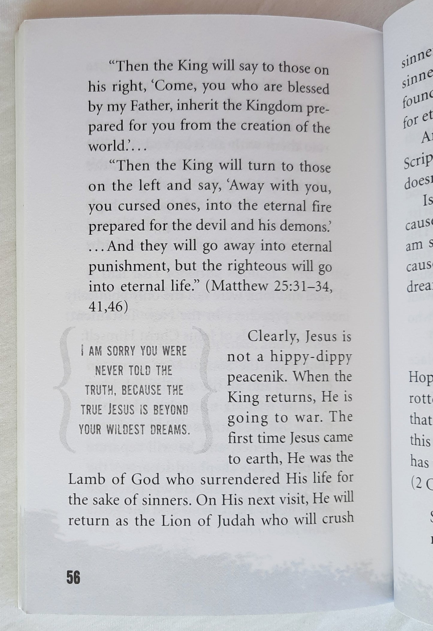 Are You a Rotten Fish? by Todd Friel (Very good, 2019, Pbk, 62 pages, Gospel Partners Media)