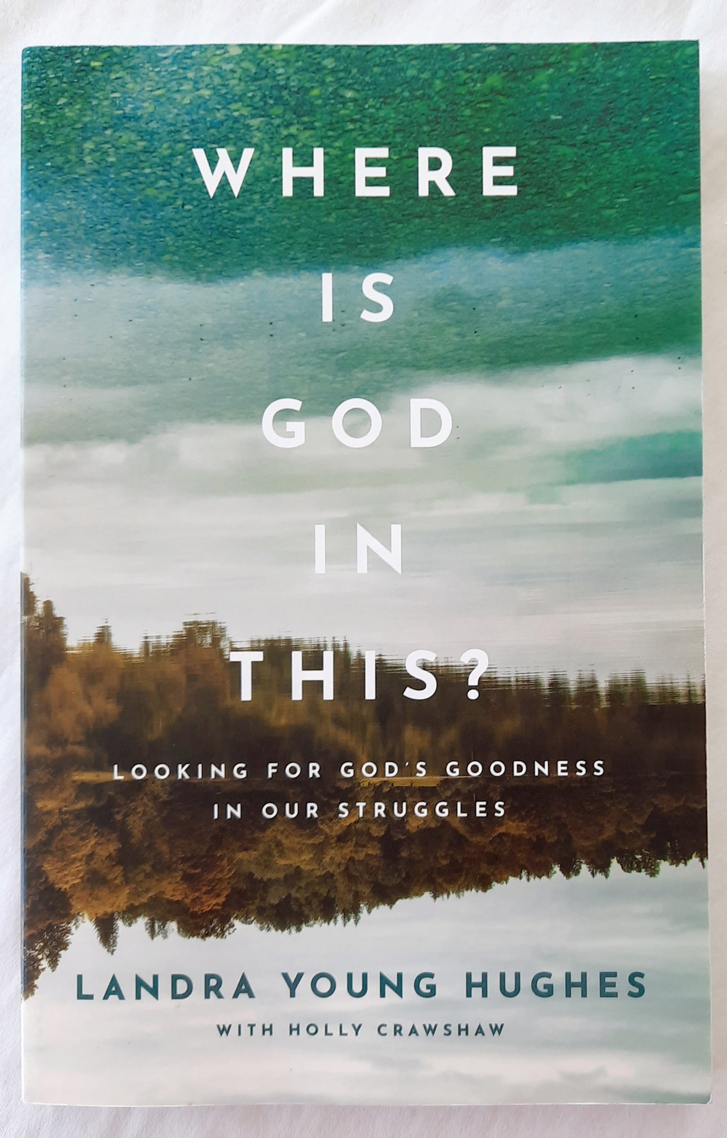 Where Is God in This? Looking for God's Goodness in Our Struggles by Landra Young Hughes (Like new, 2022, Pbk, 181 pages, Baker Books)