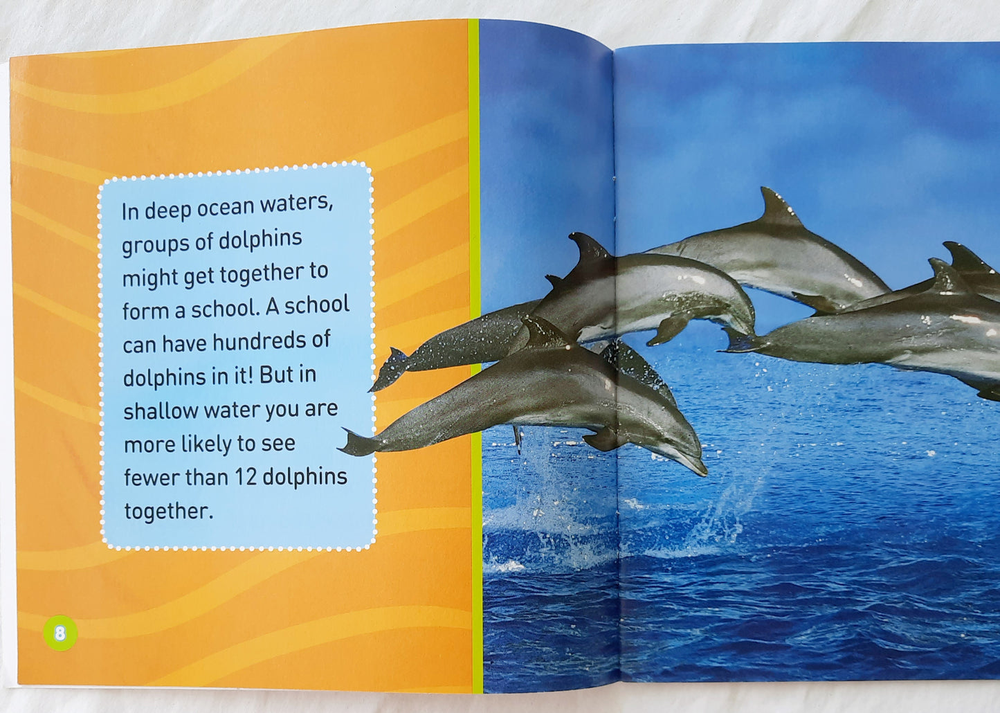 National Geographic Kids Explore My World Dolphins by Becky Baines (Very Good, 2016, Pbk, 32 pages, Scholastic)