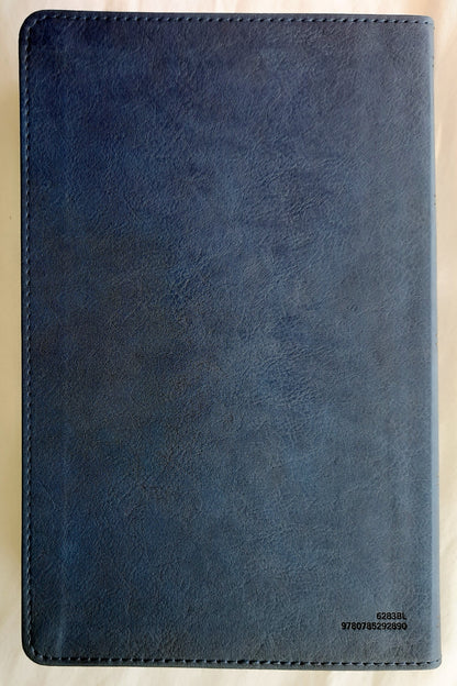 KJV Verse Art Thinline Youth Bible (New, 2022, Blue Leathersoft, 992 pages, Thomas Nelson)