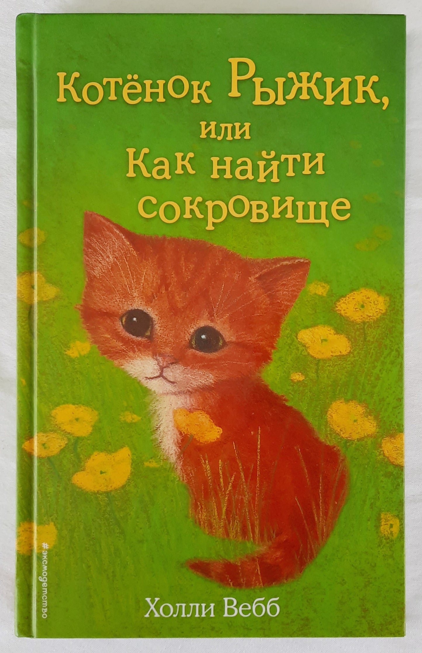 Ginger the Stray Kitten [Бродячий котенок Джинджер] by Holly Webb (Russian edition, Like New, 2018, HC, 139 pages)