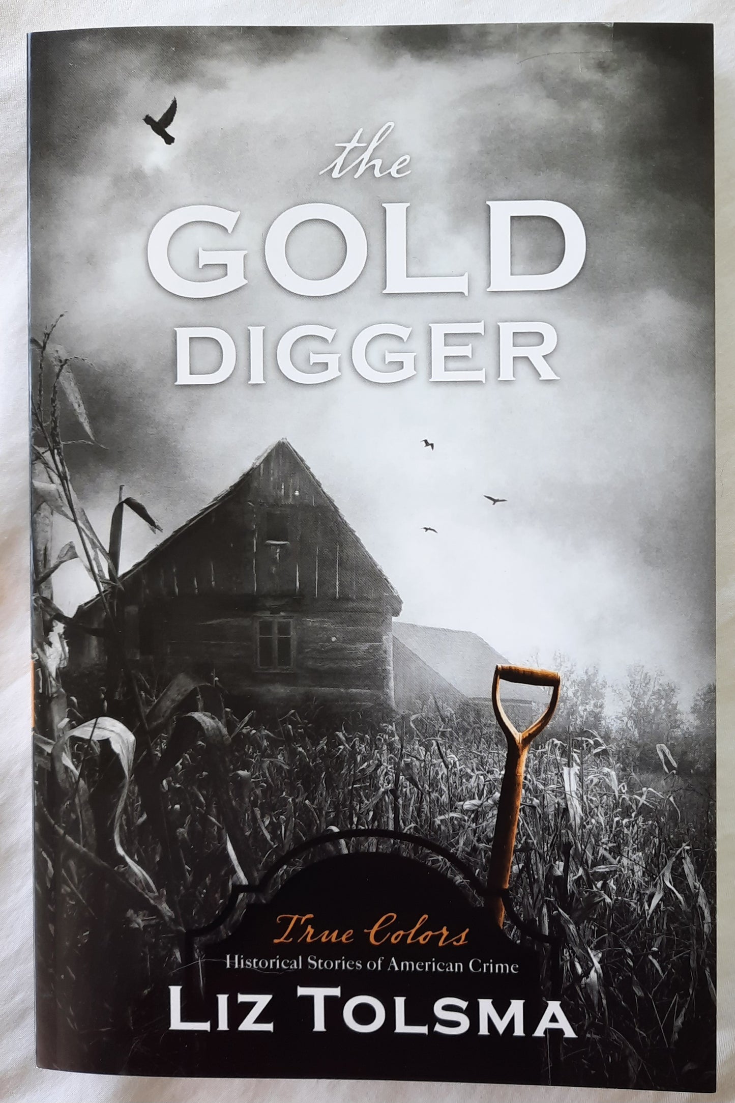 The Gold Digger by Liz Tolsma (True Colors, New, 2020, Pbk, 254 pages, Barbour)