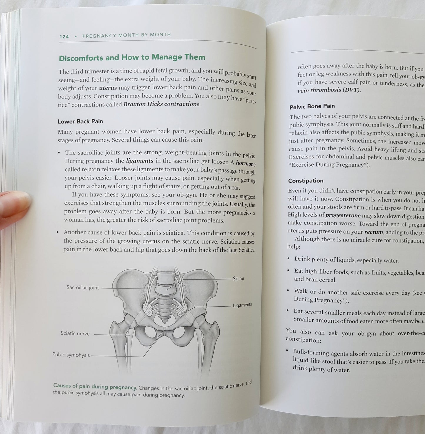 Your Pregnancy and Childbirth Month to Month 7th edition by ACOG (Like New, 2021, Pbk, 762 pages, American College of Obstetricians and Gynecologists)