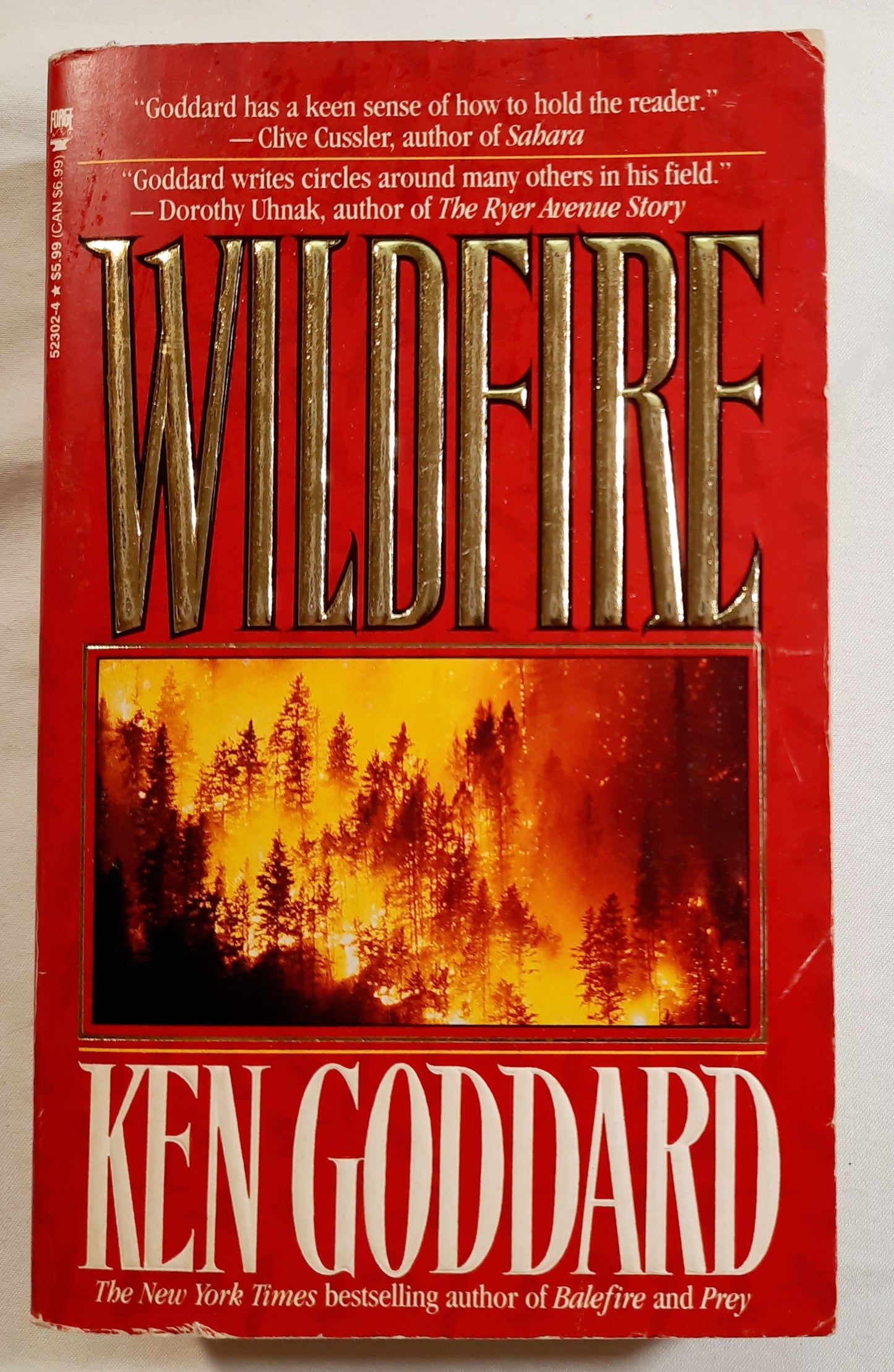 Wildfire by Ken Goddard (Very good, 1995, Pbk, 460 pages, Tom Doherty Associates, Inc.)