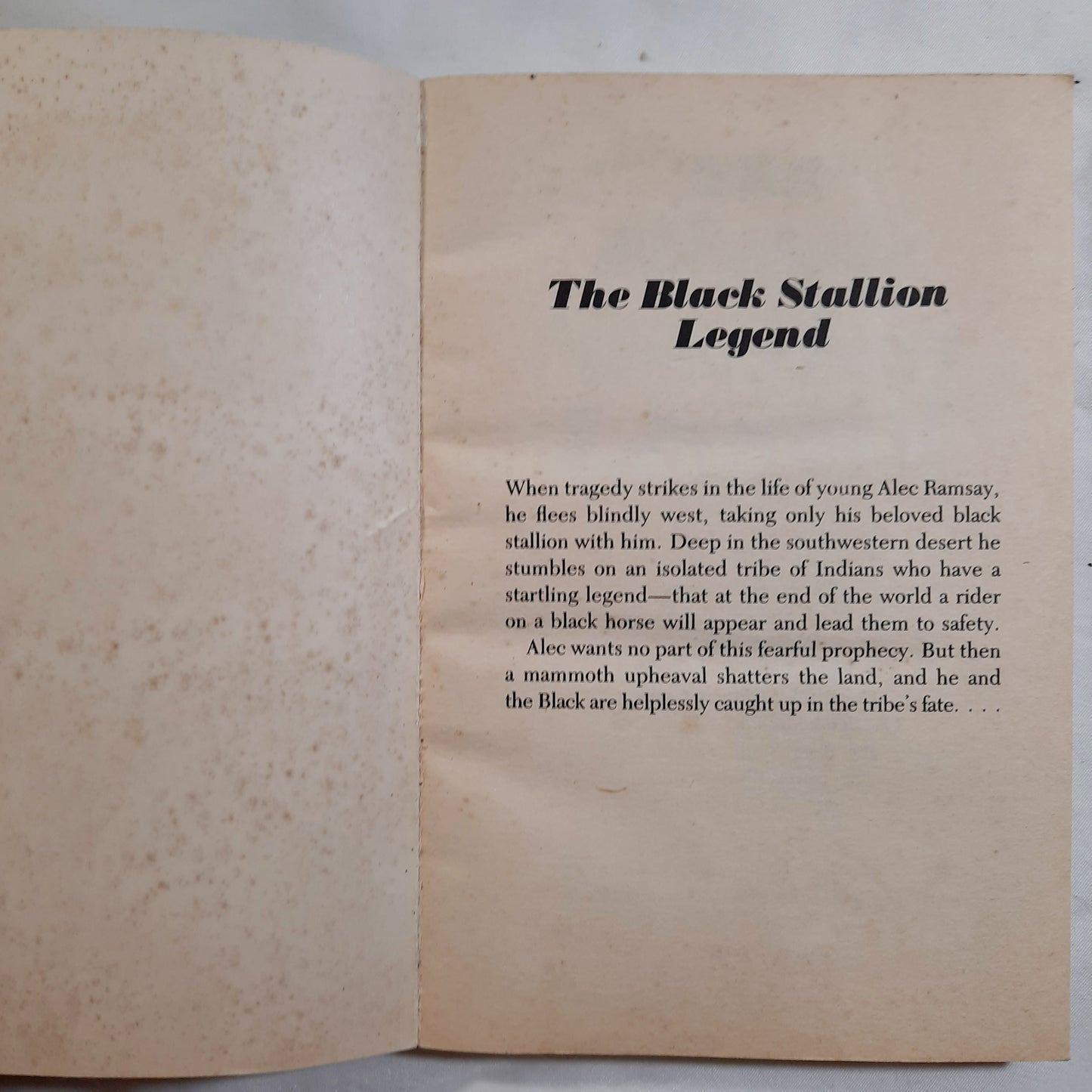 The Black Stallion Legend #19 by Walter Farley (Good, 1983, Pbk, 177 pages, Random House)