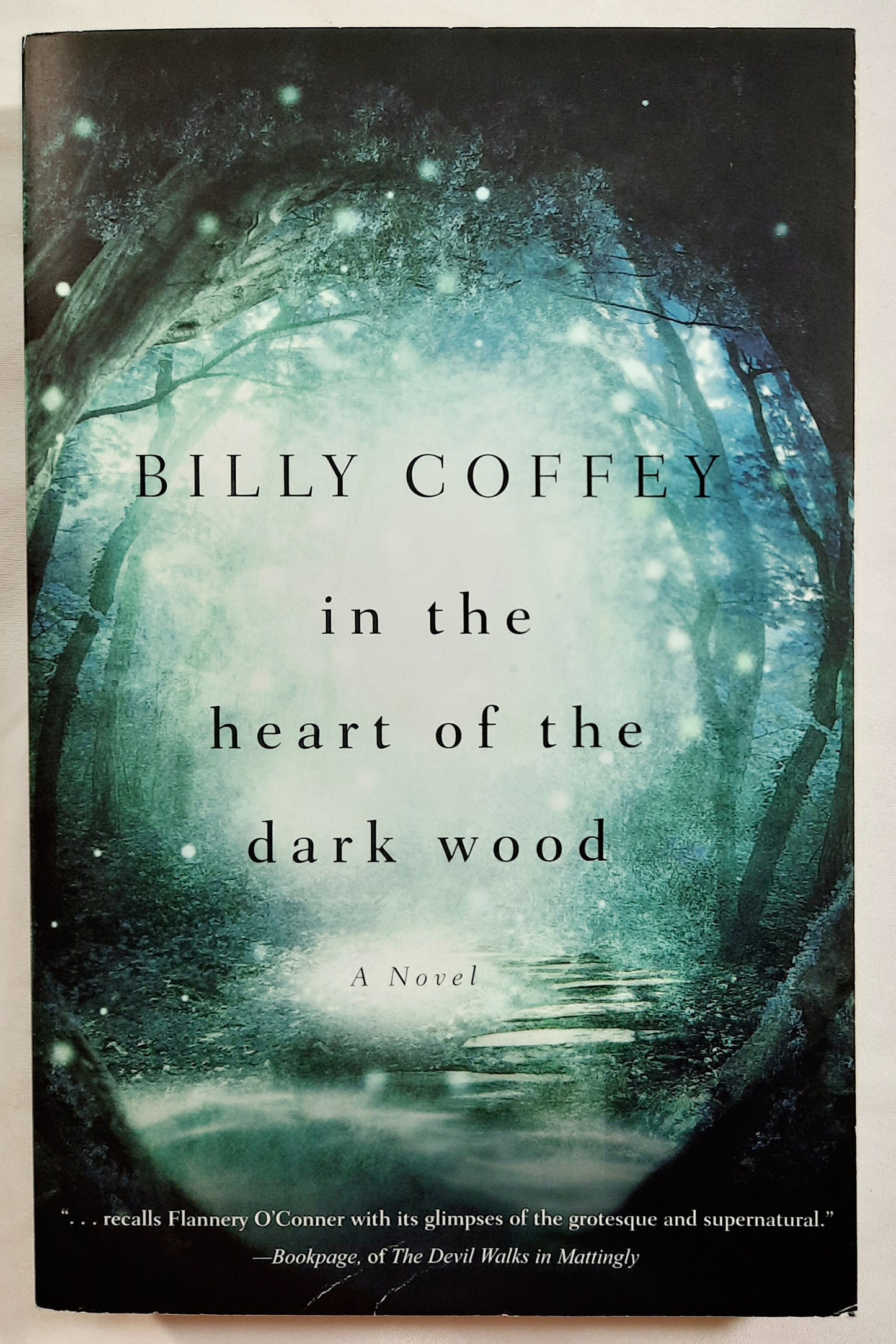 In the Heart of the Dark Wood by Billy Coffey (New, Pbk, 2014, Thomas Nelson, 378 pages)