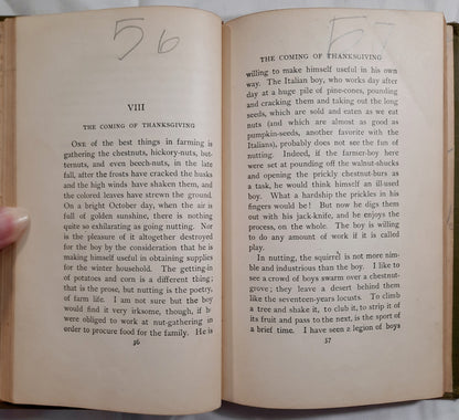 The Riverside Literature Series: Being a Boy by Charles Dudley Warner (Good, 1919, HC, 186 pages, Houghton Mifflin Co.)