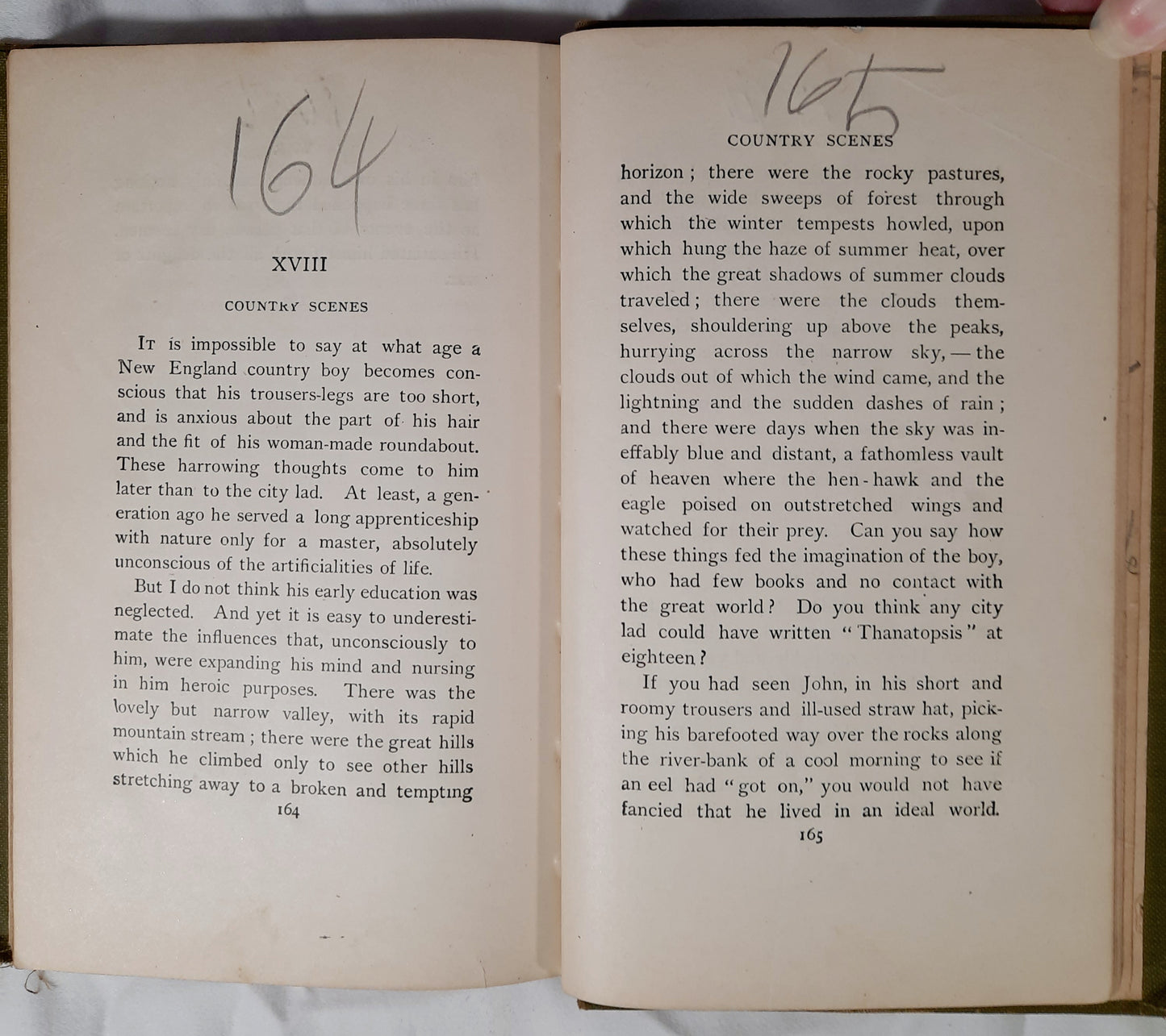 The Riverside Literature Series: Being a Boy by Charles Dudley Warner (Good, 1919, HC, 186 pages, Houghton Mifflin Co.)