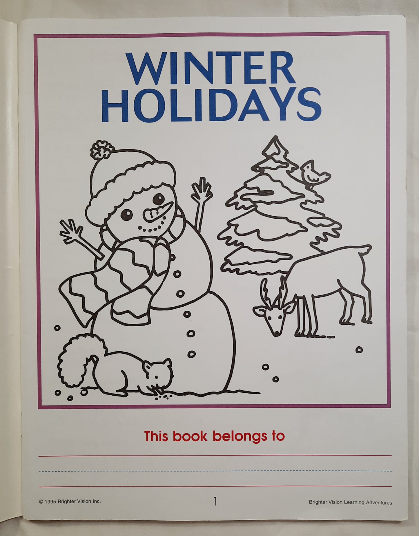 Winter Holidays by Catherine Hernandez (Very good, Brighter Vision, 1995, Pbk, 24 pages)