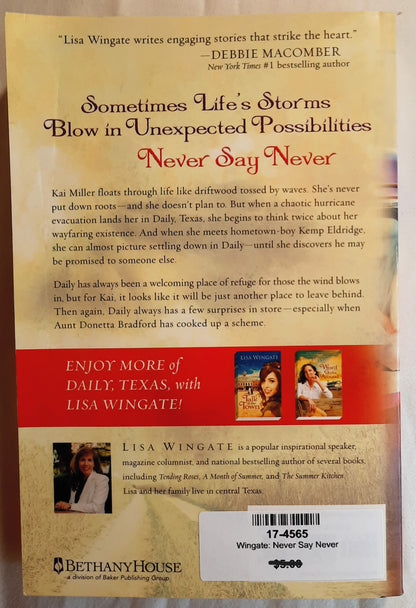 Never Say Never #3 by Lisa Wingate (Welcome to Daily, Texas, Very good, 2010, Pbk, 350 pages, Bethany House)