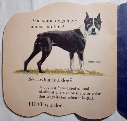 The Dog Book by Jan Pfloog (Good, 1977, Pbk, A Golden Shape Book)