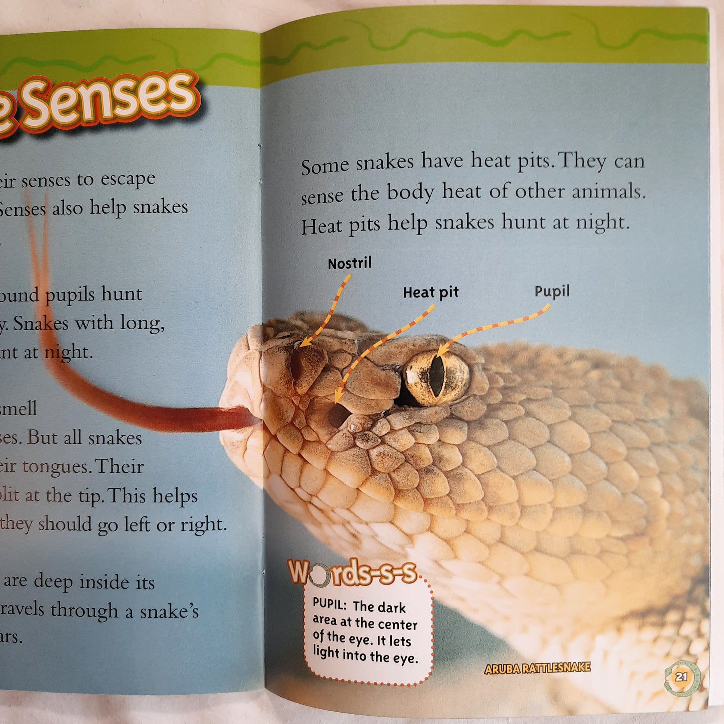 National Geographic Kids: Snakes! by Melissa Stewart (New, 2009, Pbk, 32 pages, Scholastic)