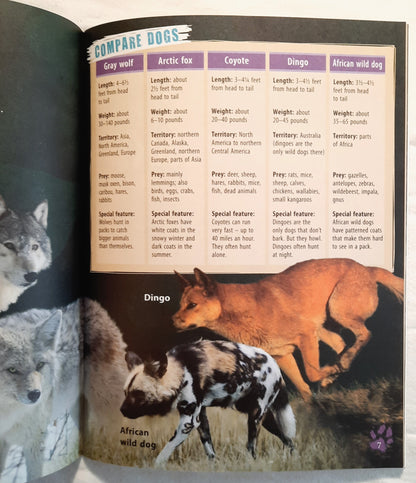 Investigate Predators: Wild Dogs by Lynette Evans (Very Good, Pbk, 2008, Scholastic, 28 pages)