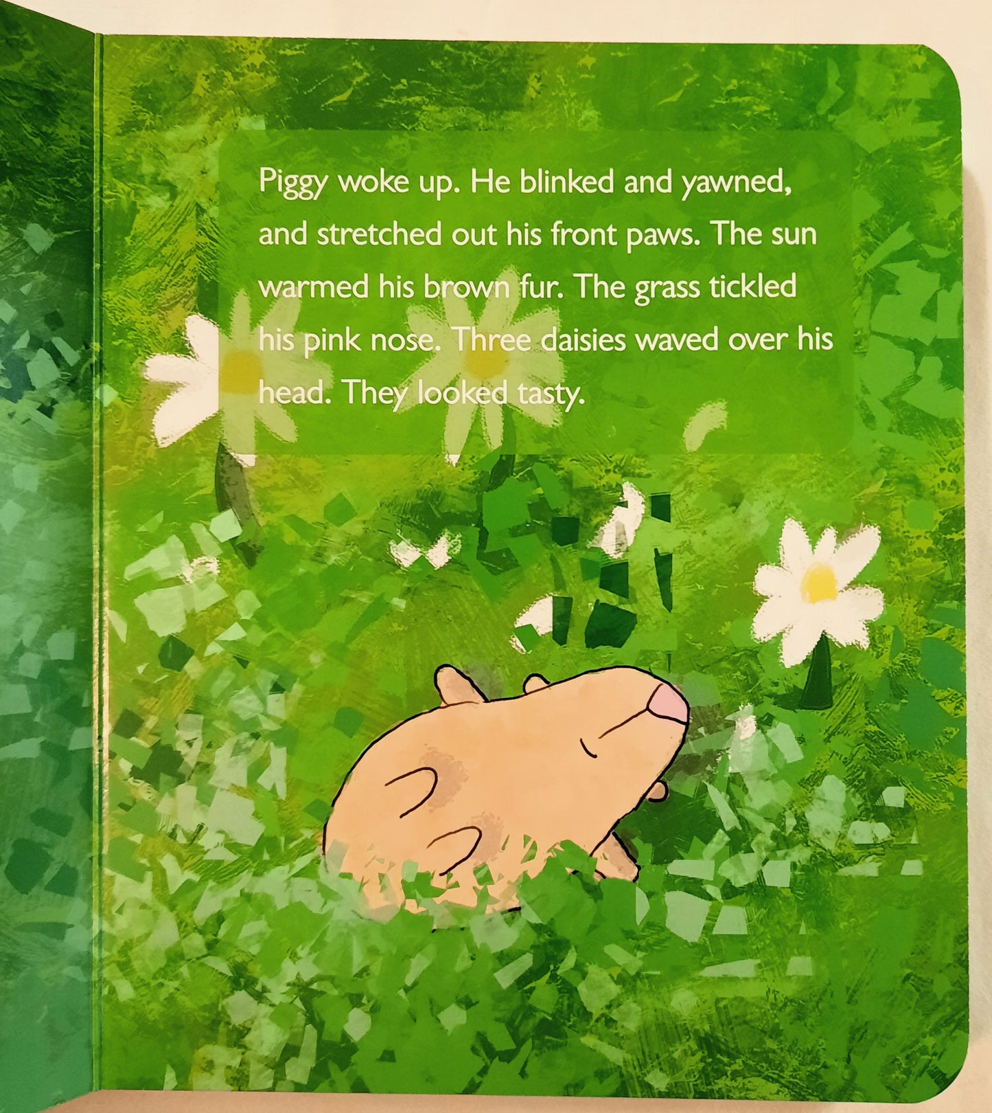 Piggy in Heaven Board Book by Melinda Johnson (New, 2019, HC, 24 pages, Paraclete Press)