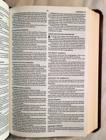 KJV Compact Value Edition Bible (New, 2019, Brown LeatherTouch, 768 pages, Holman)