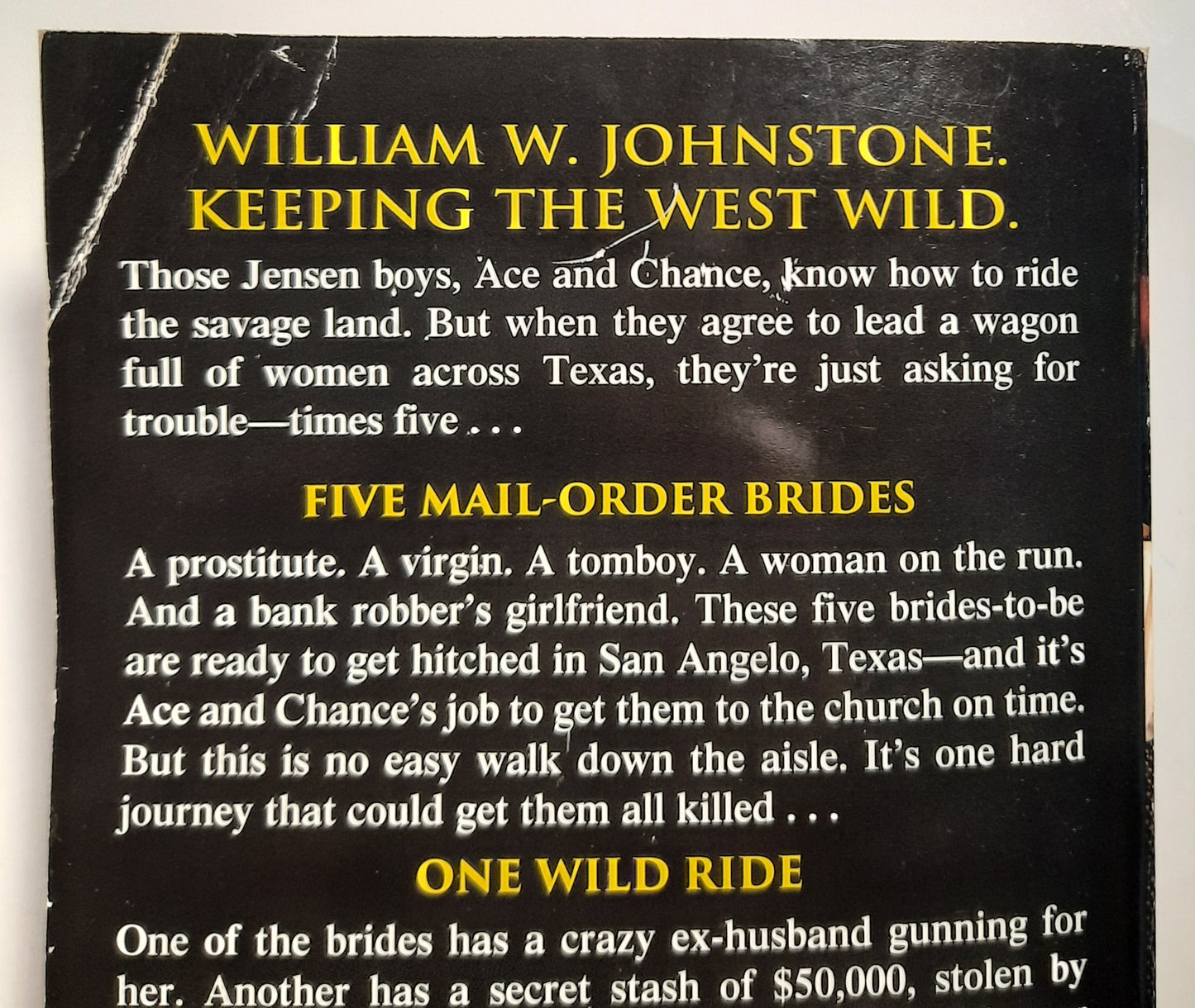 Those Jensen Boys! Ride the Savage Land by William W. Johnstone; J.A. Johnstone (Good, 2018, PBK, 378 pages, Kensington Books)