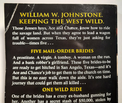 Those Jensen Boys! Ride the Savage Land by William W. Johnstone; J.A. Johnstone (Good, 2018, PBK, 378 pages, Kensington Books)