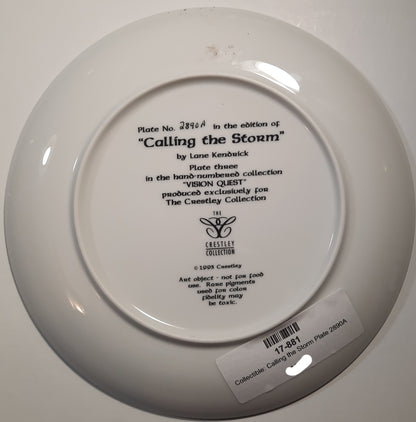 Decorative Plate: Calling the Storm #3 Vision Quest by Lane Kendrick (Like new, 1993, The Crestley Collection, #2890A)