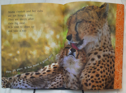 Investigate Predators: Big Cats by Lynette Evans (Good, 2008, Scholastic, 28 pages)