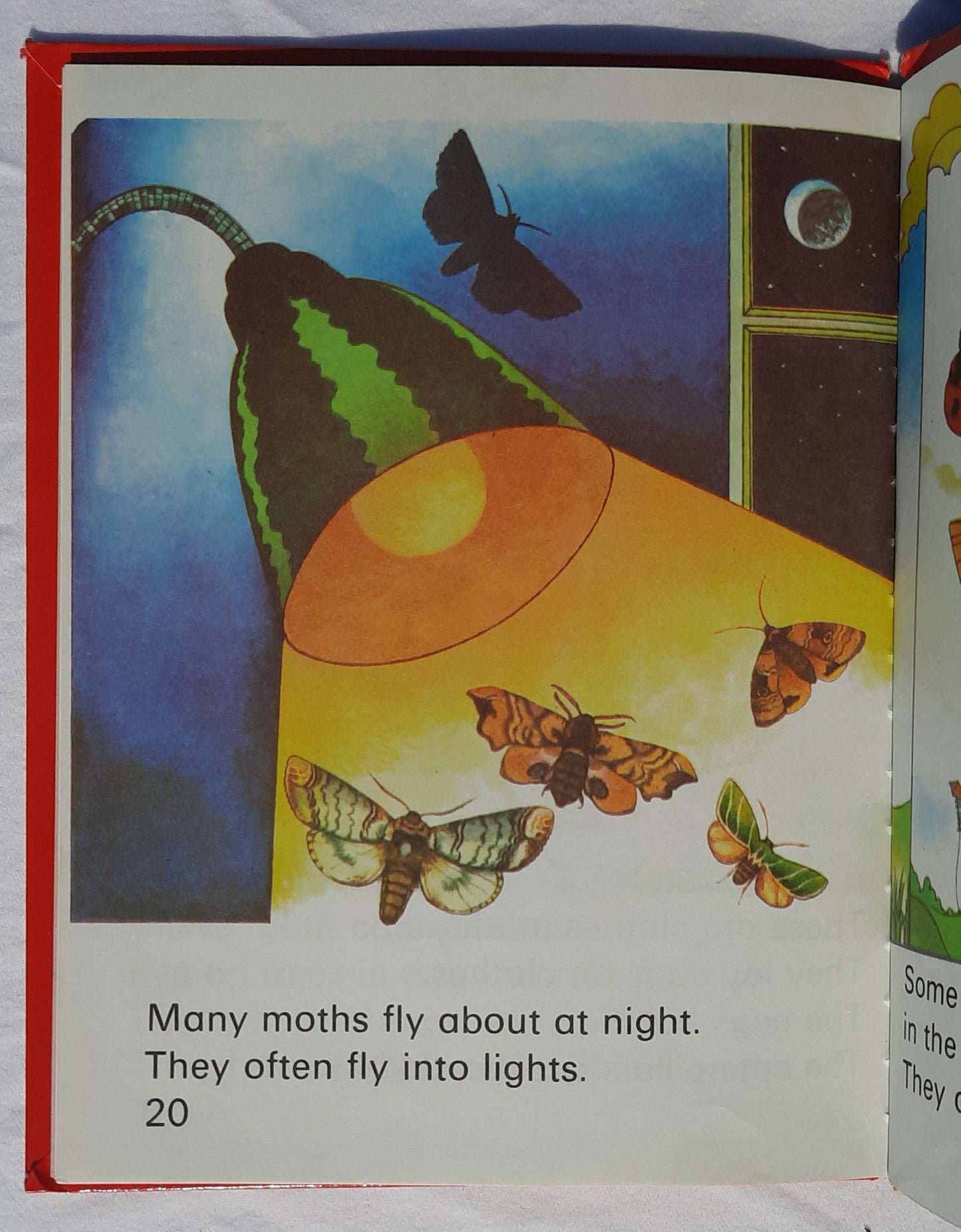 Wonder Starters: Butterflies illustrated by John Mousdale (Good, 1973, HC, 25 pages, Wonder Books)