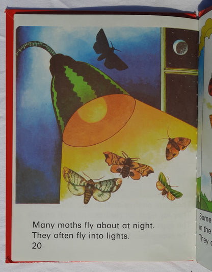 Wonder Starters: Butterflies illustrated by John Mousdale (Good, 1973, HC, 25 pages, Wonder Books)